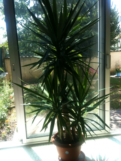 Rencontres jardin nature 85