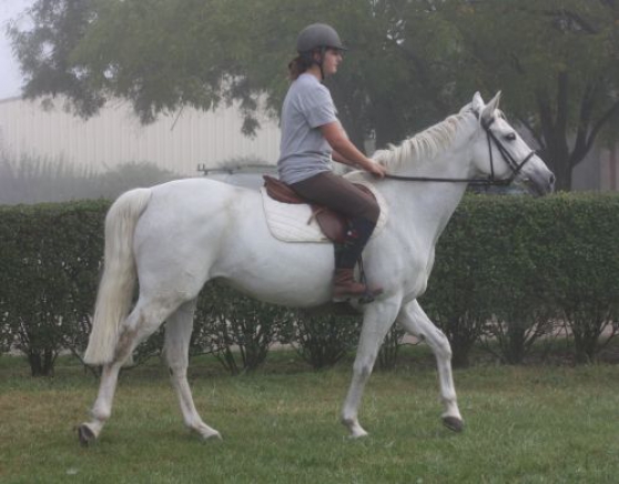 Petites annonces rencontres 85