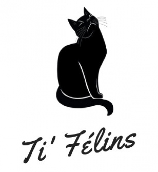 Pension pour chats Ti'Félins