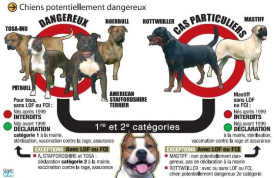 Permis de détention-Formation des maitre