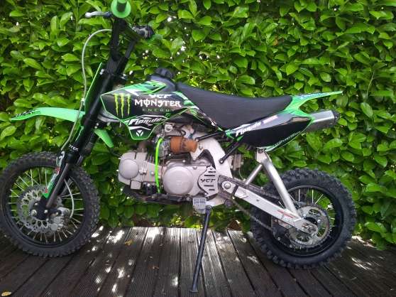 Annonce occasion, vente ou achat 'YCF 125 cc Monster Energy CLS'