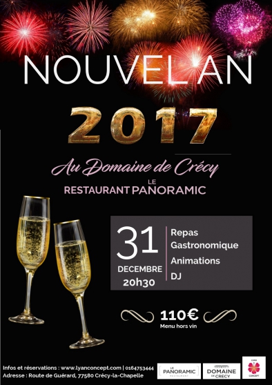 Annonce occasion, vente ou achat 'Nouvel an 2017'
