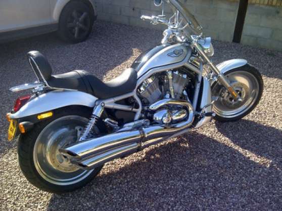 Annonce occasion, vente ou achat 'Harley Davidson vrod collector 100me'
