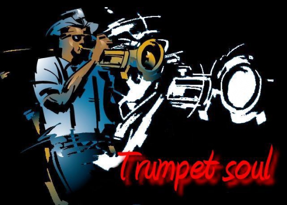 Annonce occasion, vente ou achat 'Trumpet soul pour animer vos soires'