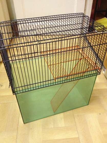 Annonce occasion, vente ou achat 'Cage rongeur'