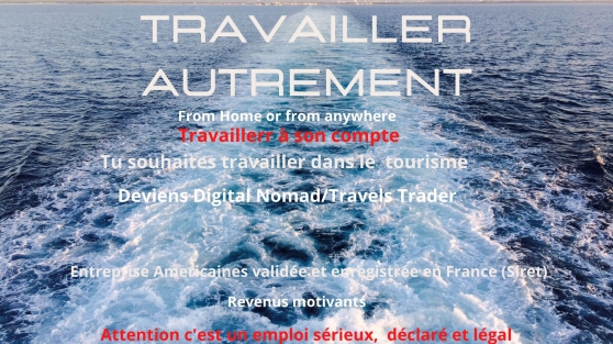 Annonce occasion, vente ou achat 'DIGITAL NOMAD/TRAVELS TRADER'