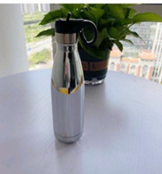 Annonce occasion, vente ou achat 'Stainless steel water bottle'