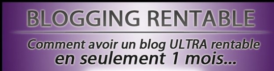 Annonce occasion, vente ou achat 'Blogging rentable'