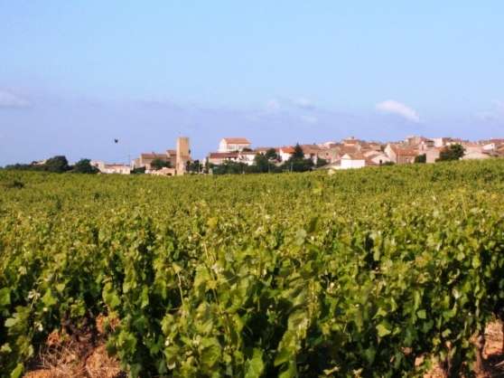 Annonce occasion, vente ou achat 'Maison en Languedoc 4 chambres'