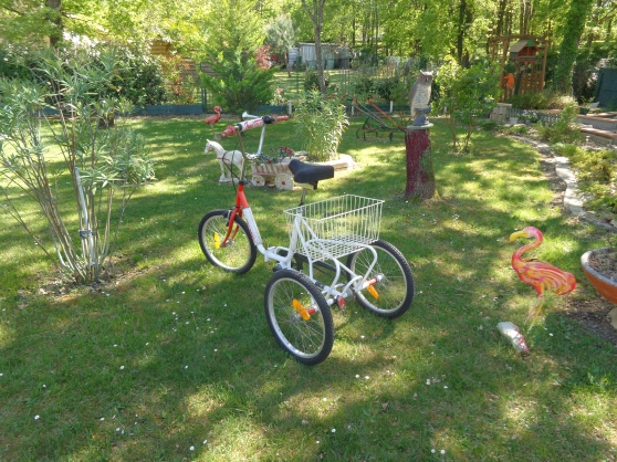 Annonce occasion, vente ou achat 'Tricycle \