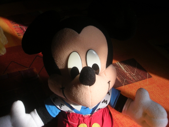 Annonce occasion, vente ou achat 'Mickey'