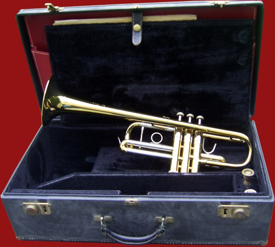 Annonce occasion, vente ou achat 'Trompette Vincent Bach Stradivarius 229'