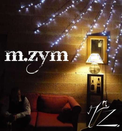Annonce occasion, vente ou achat 'mZym cherche son chanteur'