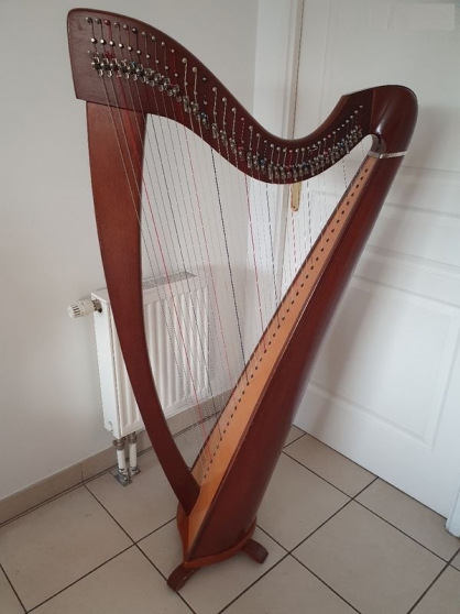 Annonce occasion, vente ou achat 'Harpe celtique 38 cordes'