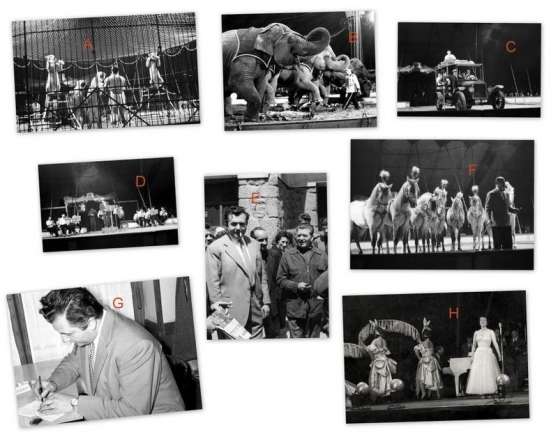 Annonce occasion, vente ou achat 'Vends Photos du Cirque Pinder-de 1950'