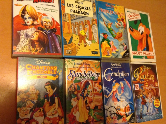 Annonce occasion, vente ou achat 'Cassettes dessins anims'