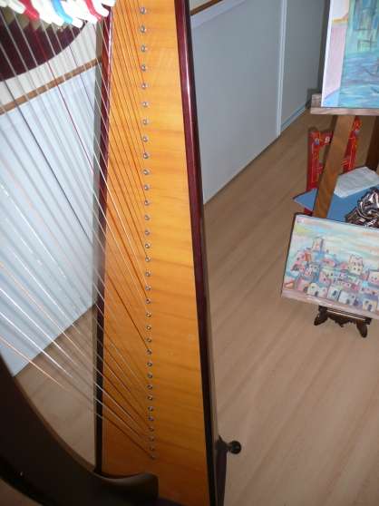 Annonce occasion, vente ou achat 'Harpe celtique Camac 34 cordes'