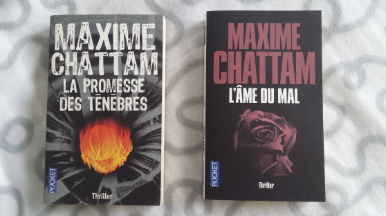 Annonce occasion, vente ou achat 'thriller maxime chattam'