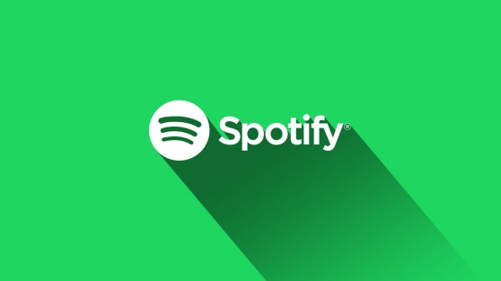 Spotify Premium Pack famille recherché