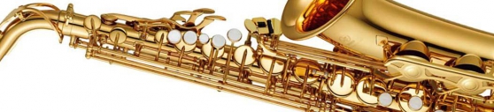 Annonce occasion, vente ou achat 'Saxophone alto srie tude'