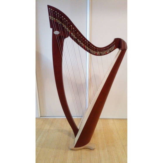 Annonce occasion, vente ou achat 'Harpe Celtique salvi modle Titan 38 c'