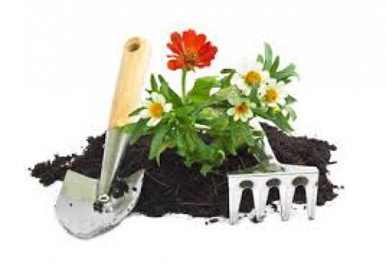 Annonce occasion, vente ou achat 'Apprendre  jardiner pour les dbutants'