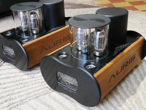 Annonce occasion, vente ou achat 'Auris Audio Forte 150'