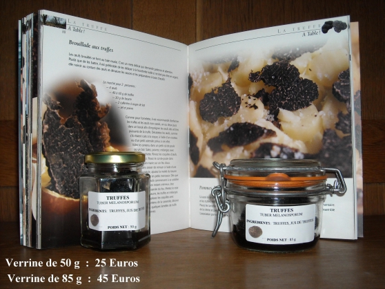 truffes tuber melanosporum