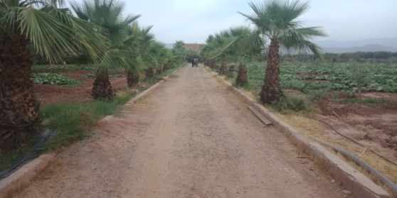 Ferme tirée 4.25 ha à 17 km de Marrakech