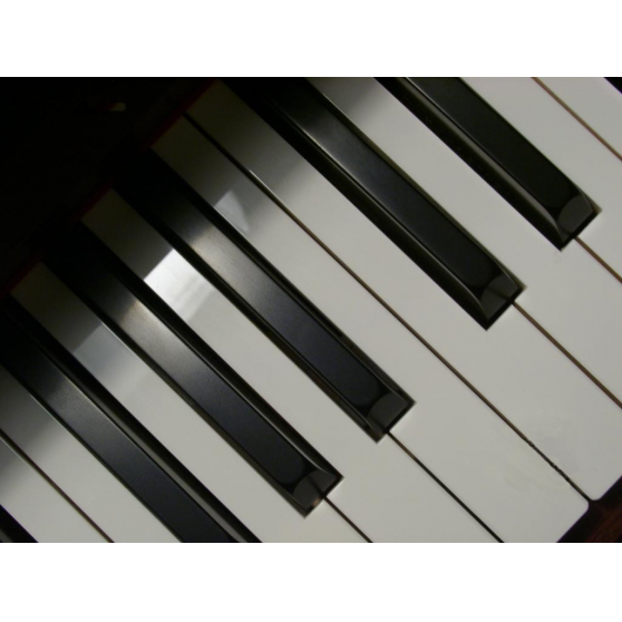 Annonce occasion, vente ou achat 'Accordeur Rparateur de Pianos dpt 06'