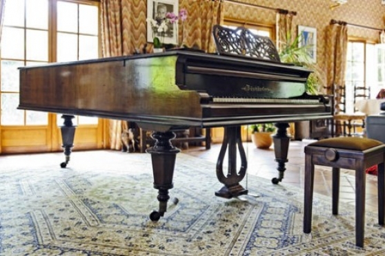 Annonce occasion, vente ou achat 'vente de PIANO A QUEUE BOSENDORFER TRES'