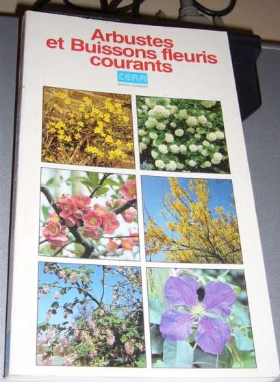 Annonce occasion, vente ou achat 'Arbustes et buissons fleuris'