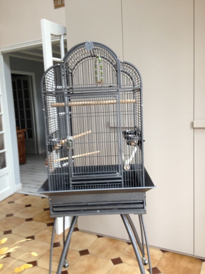 cage pour oiseaux