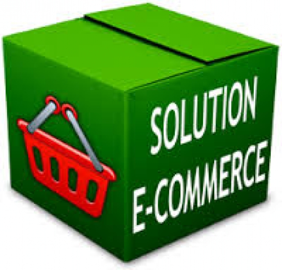 Annonce occasion, vente ou achat 'Votre site Internet E-commerce Pro moins'