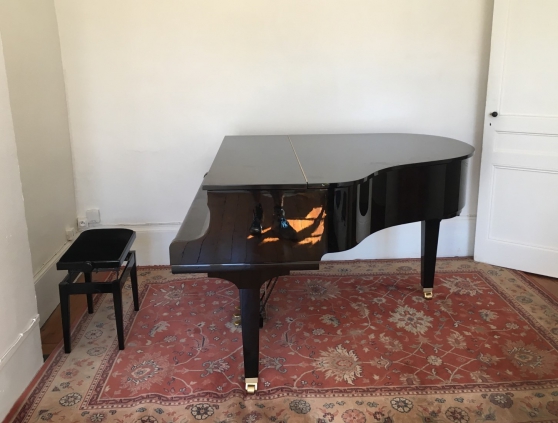 Cours de Piano - 10 ans d\'expérience