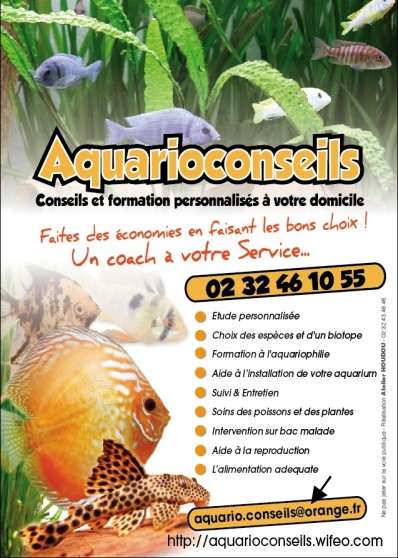 Annonce occasion, vente ou achat 'Coaching en aquariophilie.'