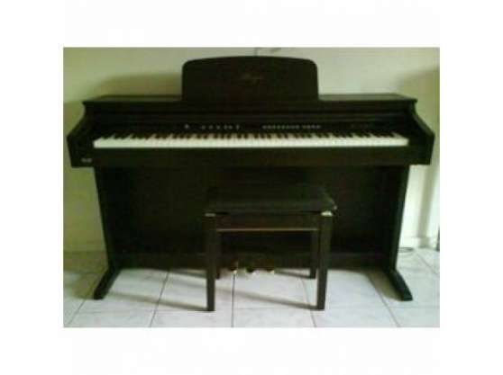Annonce occasion, vente ou achat 'Delson Allegro 8860 - Piano Numrique'