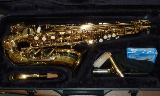 Saxophone alto Yanagisawa 7 sendefu 6 em