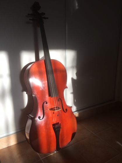 Annonce occasion, vente ou achat 'vends violoncelle d\'tude Semmlinger'