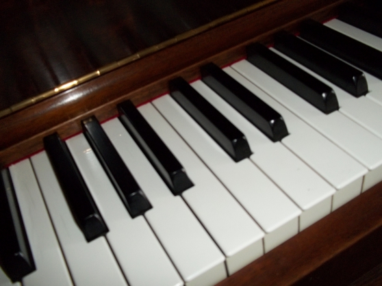 Annonce occasion, vente ou achat 'Piano, Chant- la musique pour la vie!'