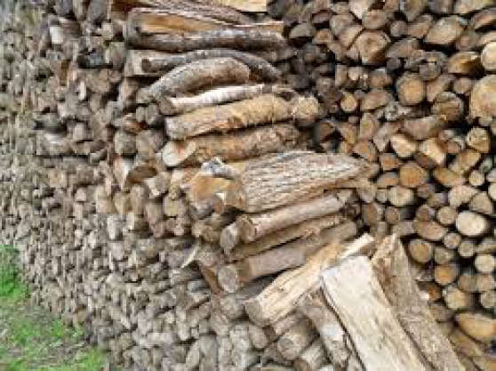Annonce occasion, vente ou achat 'Stock de bois de chauffage'