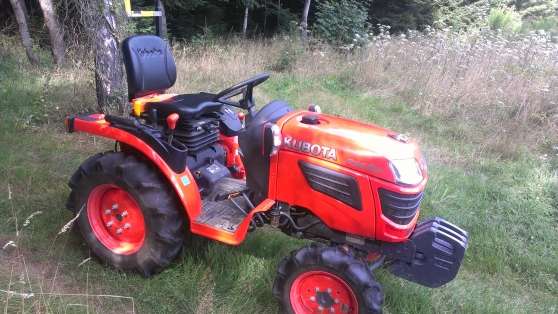 Annonce occasion, vente ou achat 'kubota B 1620'