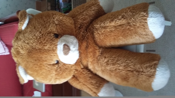 beau nounours