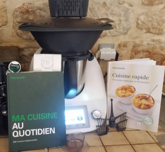 Annonce occasion, vente ou achat 'Robot thermo mix tm 5 au complet'