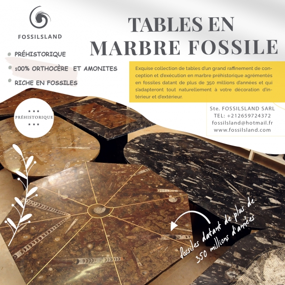 Annonce occasion, vente ou achat 'Tables en marbre riche en fossiles'