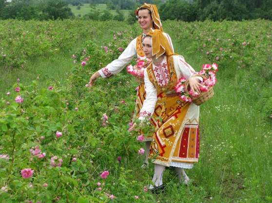 Annonce occasion, vente ou achat 'Festival de la Rose2015 Karlovo/Bulgarie'
