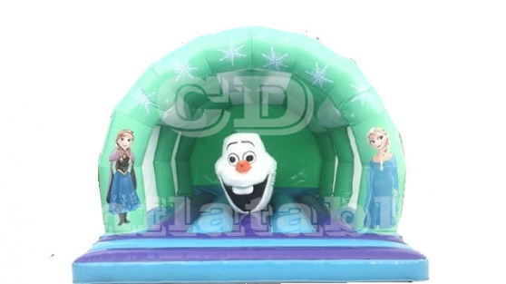 Annonce occasion, vente ou achat 'Bumpy Frozen gonflable!'