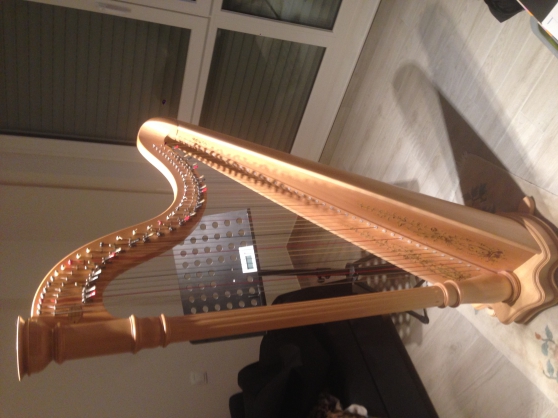 Annonce occasion, vente ou achat 'Harpe Lyon & Healy Prelude 40'