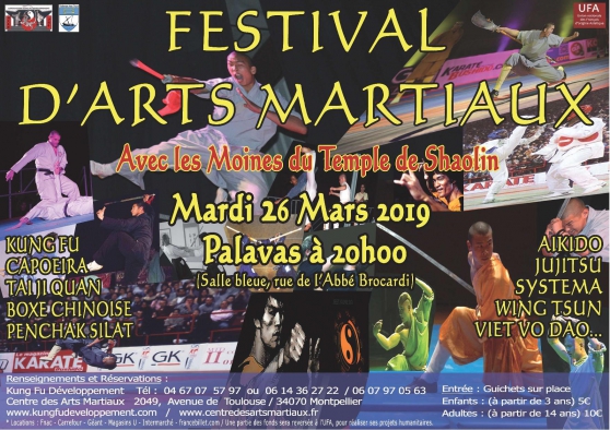 Annonce occasion, vente ou achat 'Festival d\'arts martiaux'