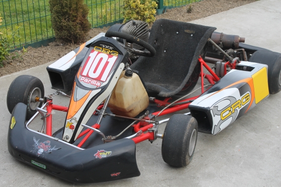 Annonce occasion, vente ou achat 'karting 100cc'